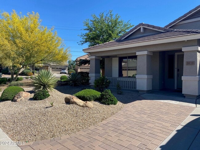 2812 E Questa Dr in Phoenix, AZ - Building Photo - Building Photo