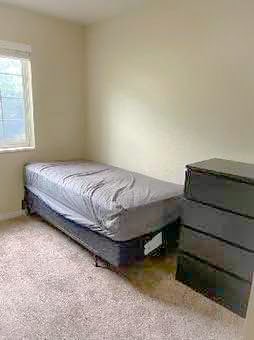 108 Cougar Blvd in Provo, UT - Building Photo - Building Photo