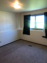1016 Manchester Ct in South Elgin, IL - Foto de edificio - Building Photo