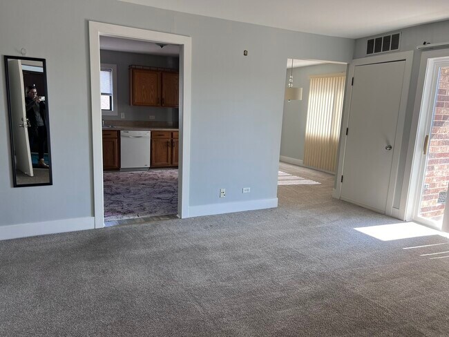 14949 Lake View Dr in Orland Park, IL - Building Photo - Building Photo