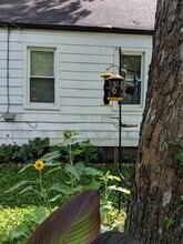 821 Stanley St in Ypsilanti, MI - Building Photo - Building Photo