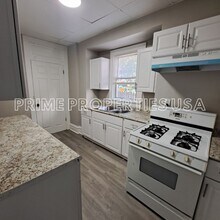 305 Anthony St in Pittsburgh, PA - Foto de edificio - Building Photo