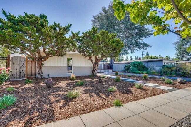 3238 Todd Way in San Jose, CA - Building Photo - Building Photo