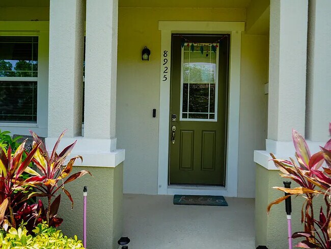 8925 Matriarca Aly in Windermere, FL - Building Photo - Building Photo