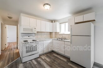 1014 N Raleigh St in Denver, CO - Building Photo - Building Photo