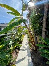 2249 Garnet Ave in San Diego, CA - Building Photo - Building Photo