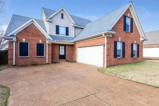 7971 Allendale Cove