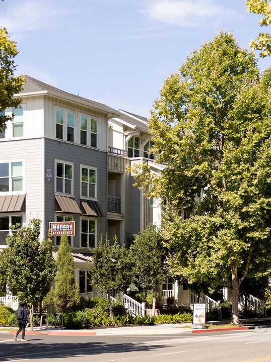 Madera in Mountain View, CA - Building Photo