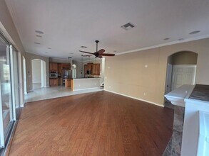 11639 Belle Haven Dr in New Port Richey, FL - Building Photo - Building Photo