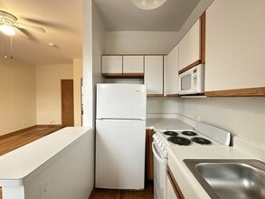 638 W Barry Ave in Chicago, IL - Building Photo - Building Photo