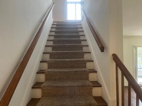 2215 Dorrington St in Houston, TX - Building Photo - Building Photo