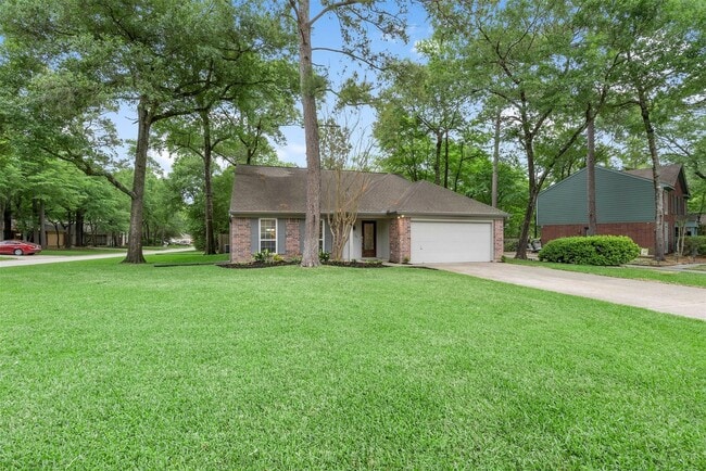 property at 36 White Bark Pl