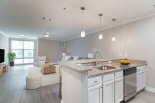 Attain Downtown East in Norfolk, VA - Building Photo