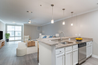 Attain Downtown East in Norfolk, VA - Building Photo - Building Photo