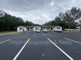 206 St Petersburg Dr E in Oldsmar, FL - Building Photo