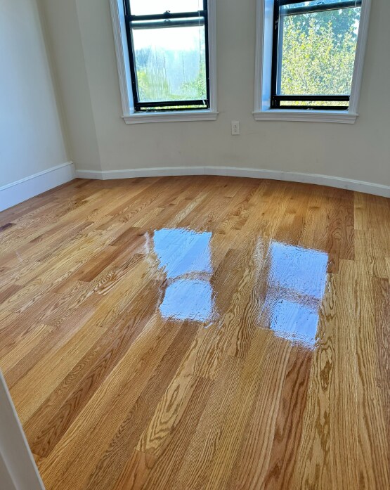 property at 16 Copenger St