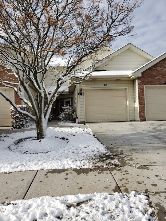 65 S Golfview Ct in Glendale Heights, IL - Building Photo