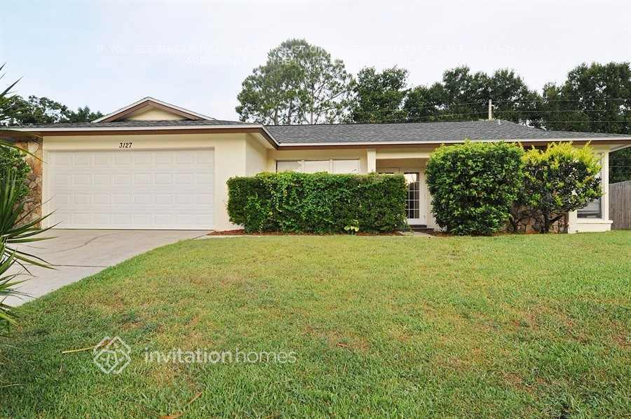 3127 Egret Terrace in Safety Harbor, FL - Building Photo