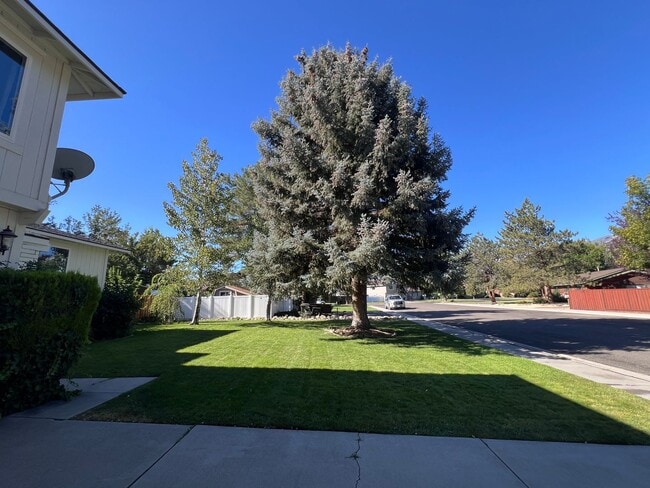 1599 Lucerne St in Minden, NV - Building Photo - Building Photo