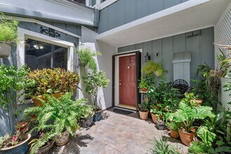 4905 SW 71st Pl in Miami, FL - Building Photo - Building Photo