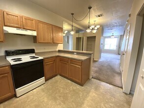 3870 SW 20th Ave in Gainesville, FL - Building Photo - Building Photo