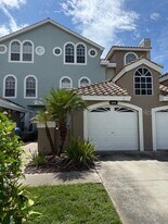 1644 Arabian Ln in Palm Harbor, FL - Building Photo
