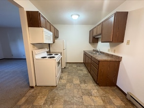 225 1st St SW in Wells, MN - Building Photo - Building Photo