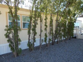 6110 N Orange Tree Ln in Tucson, AZ - Building Photo - Building Photo