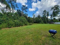 782 SQUIRREL UNIT A Ct photo'