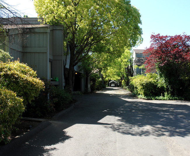 375 W Napa St in Sonoma, CA - Foto de edificio - Building Photo