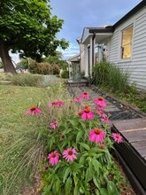 3803 Lookout Dr in Nashville, TN - Foto de edificio - Building Photo