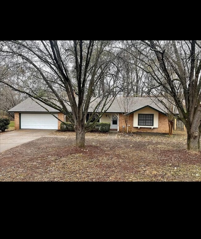 property at 233 Pecan Creek Dr