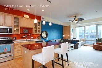 240 Spring St in St. Paul, MN - Building Photo - Building Photo