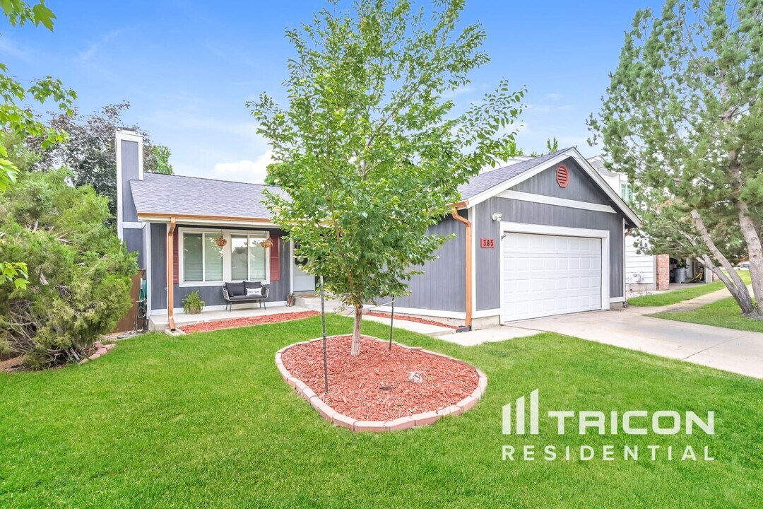 385 Mountain Cloud Cir in Littleton, CO - Building Photo