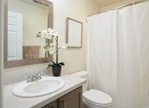 1331 Sky Ridge Ct in San Marcos, CA - Building Photo - Building Photo