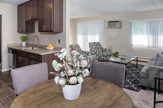 Meadowview Apartments in Anoka, MN - Building Photo - Building Photo