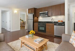 22 E Springfield St, Unit 1 in Boston, MA - Foto de edificio - Building Photo