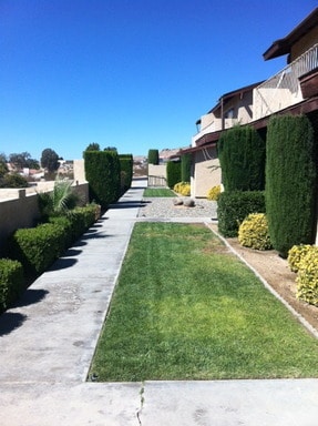 16421 Apple Valley Rd in Apple Valley, CA - Building Photo - Building Photo