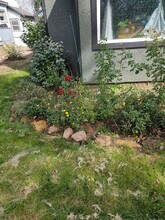 605 N Cascade Ave in Colorado Springs, CO - Building Photo - Building Photo