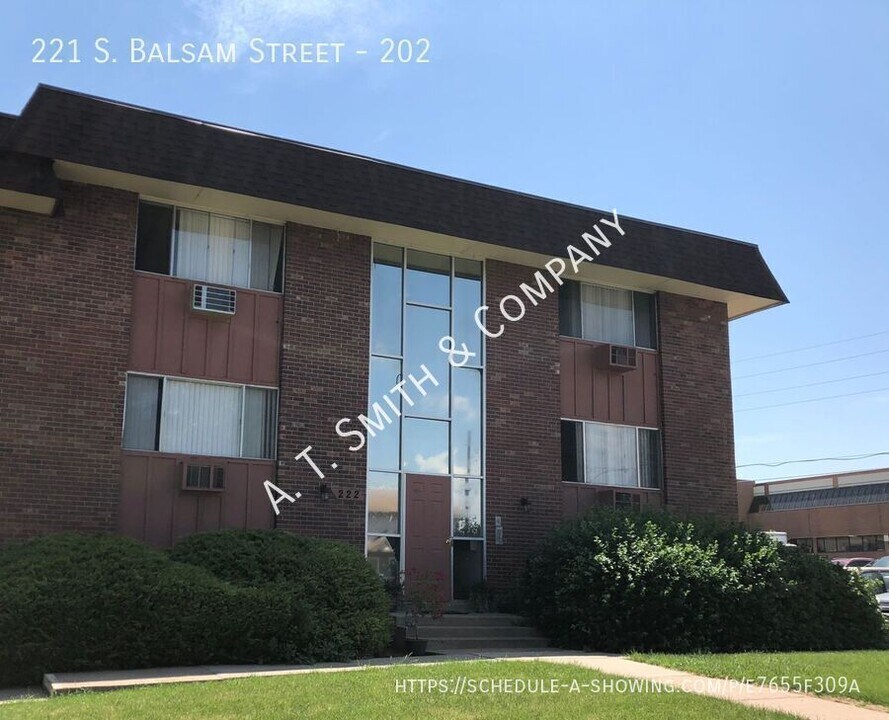 221 S Balsam St in Denver, CO - Building Photo