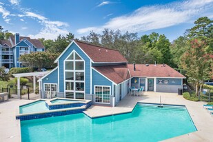 Canopy at Baybrook Apartments