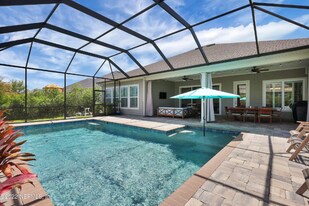 271 Village Grande Dr in Nocatee, FL - Building Photo