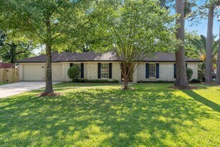 25814 Leafywood Dr in Spring, TX - Building Photo