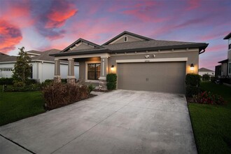 30950 Parrot Reef Ct in Wesley Chapel, FL - Building Photo - Building Photo