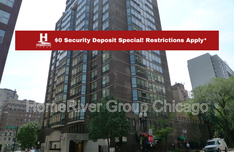21 W Goethe St in Chicago, IL - Building Photo