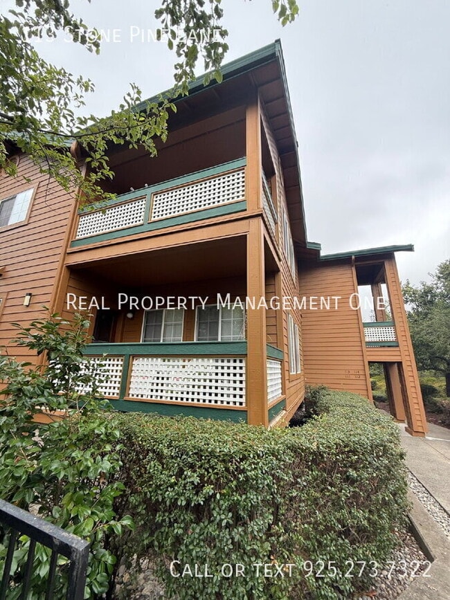 property at 113 Stone Pine Ln