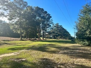 113 Penny Ln in Daphne, AL - Building Photo - Building Photo