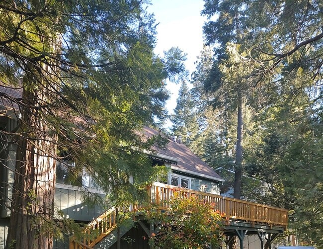 24861 Faulhorn Dr in Crestline, CA - Building Photo - Building Photo