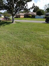 2320 Locustwood Ct in Orange Park, FL - Building Photo - Building Photo