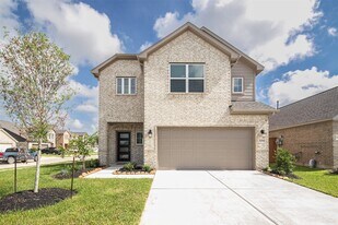 21290 Catalina Palm Dr in Cypress, TX - Building Photo
